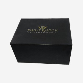 Philip Watch Ginevra Orologio da Polso Donna R8253491506