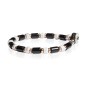 Gerba Bracciale Fashionable 11 Uomo - Fashionable11